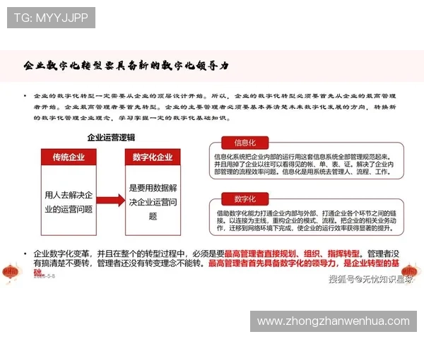 中国华体集团有限公司在推动体育产业数字化转型中的具体措施与未来发展规划