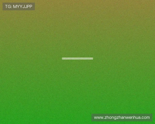 巴西队与海地队比赛前的关键战术分析与赛前看点详解